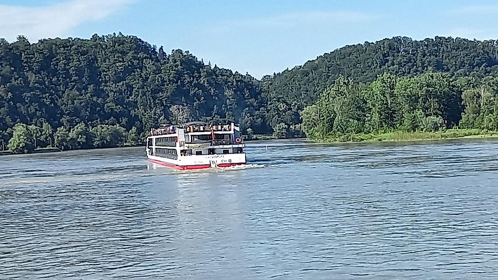 Donau (61)